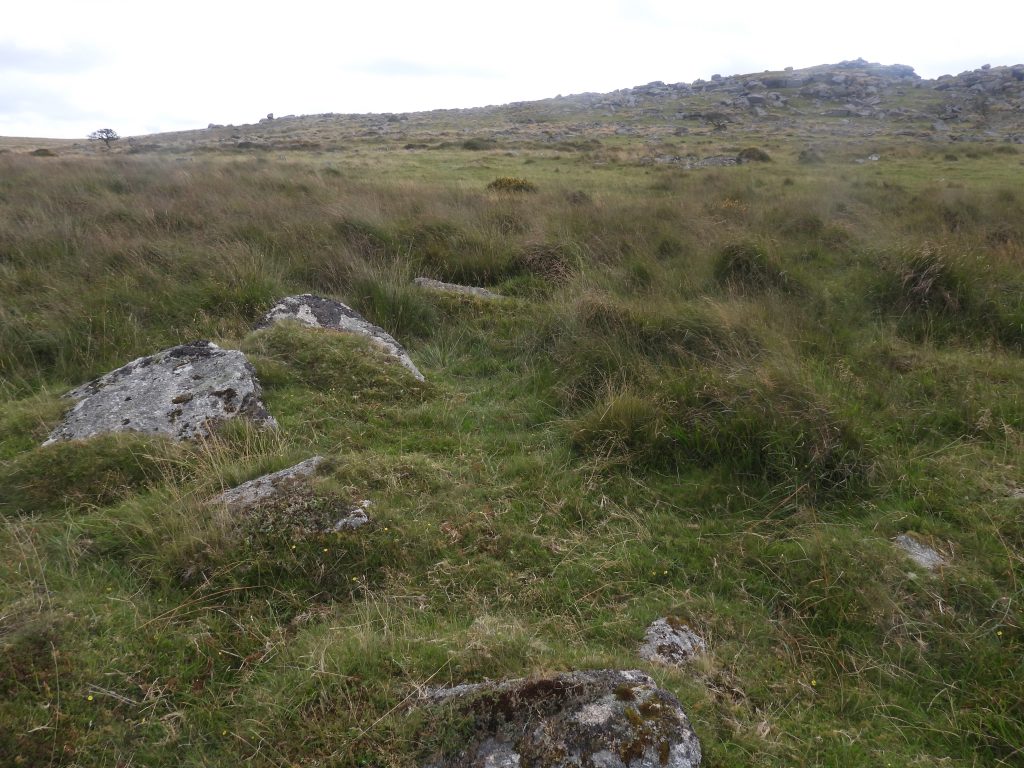 13b. Hut Circle 3