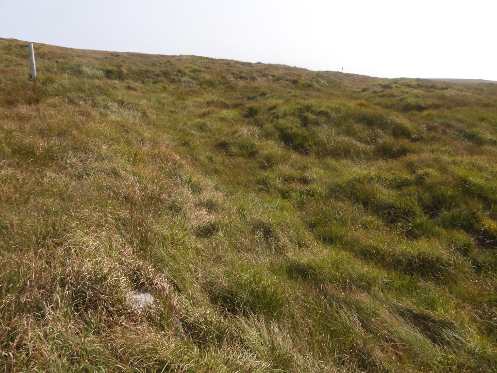 13c. Huggaton Cut Middle