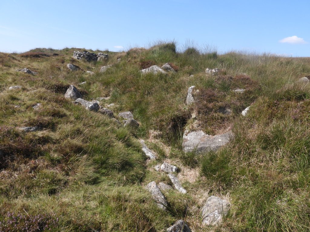 14. Leat