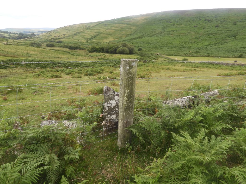 14f. B Boundstone