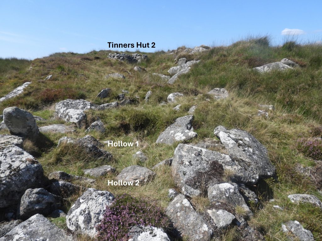 15a. Buddles