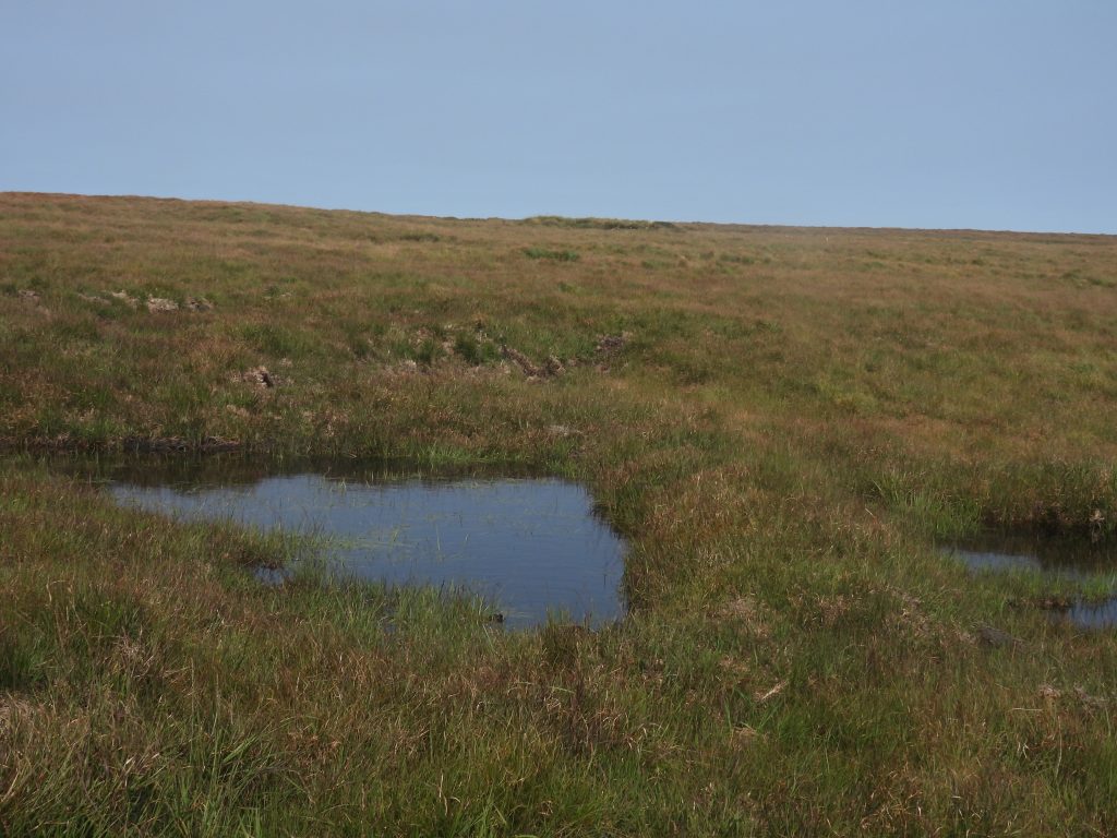 16. Peatland Restoration Pool