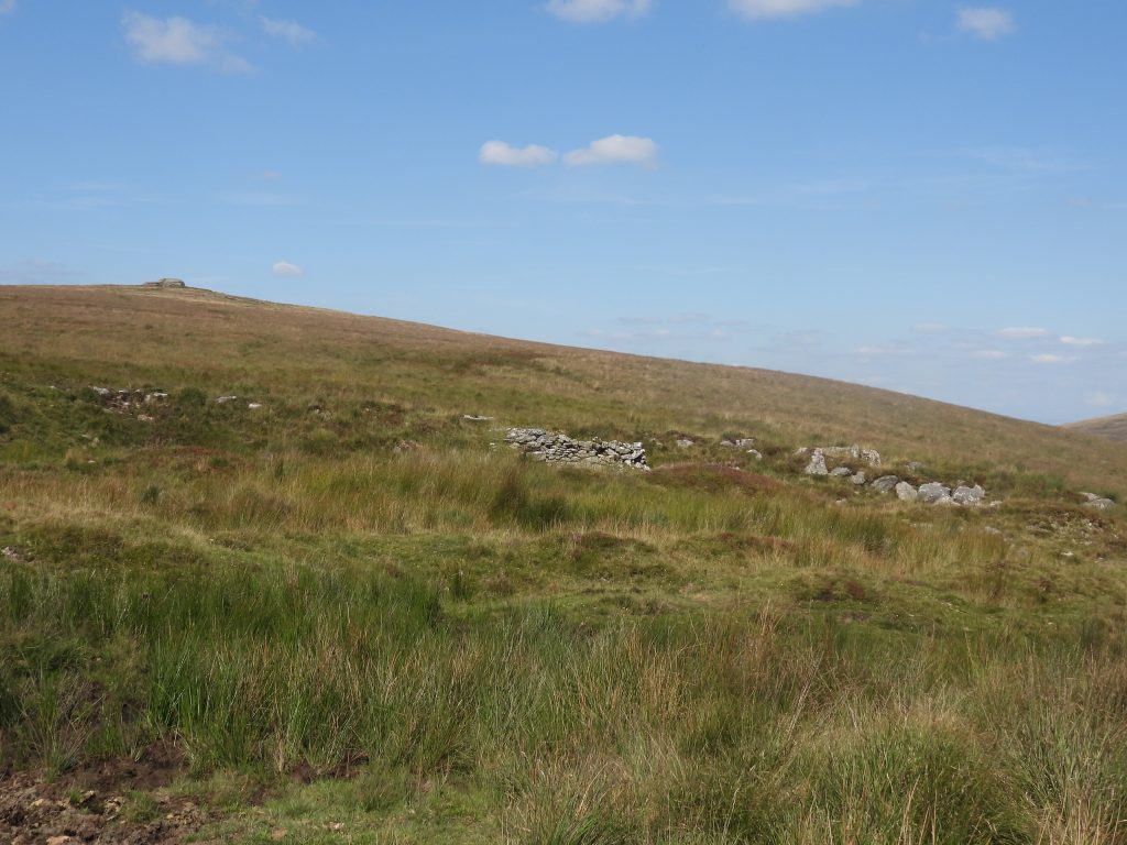 17. Tinners Hut 2 and Steeperton Tor