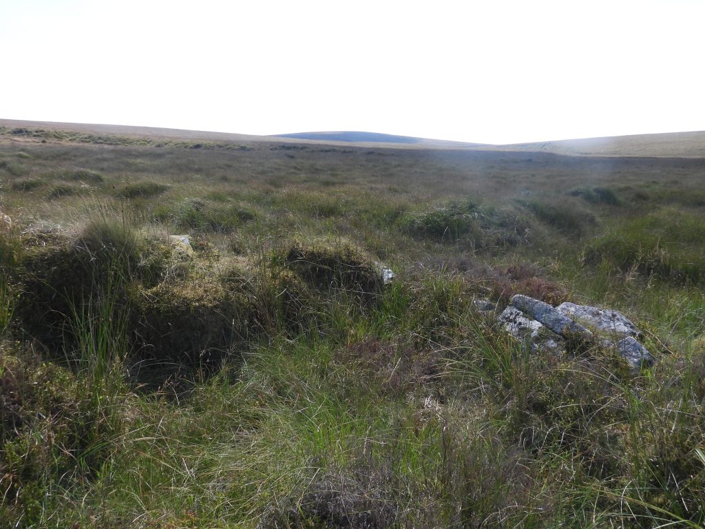 19a. Tinners Hut 3
