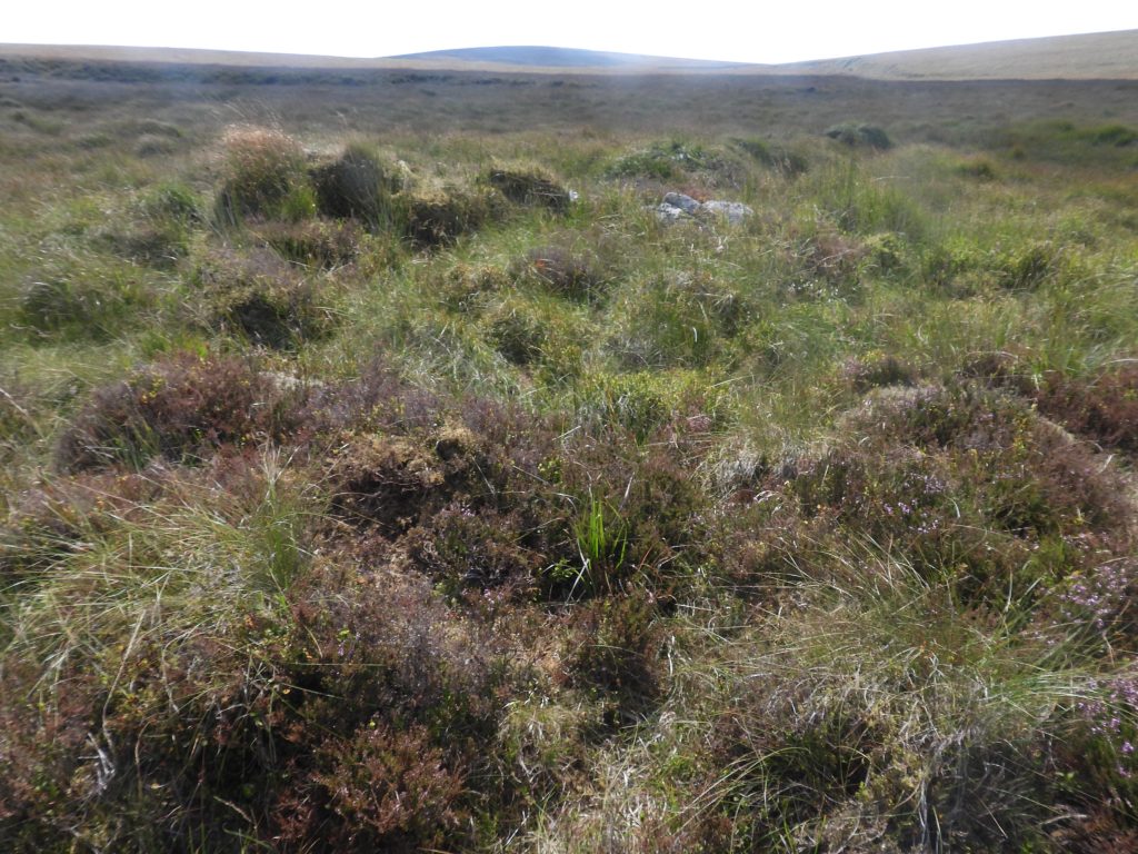 19b. Tinners Hut 3