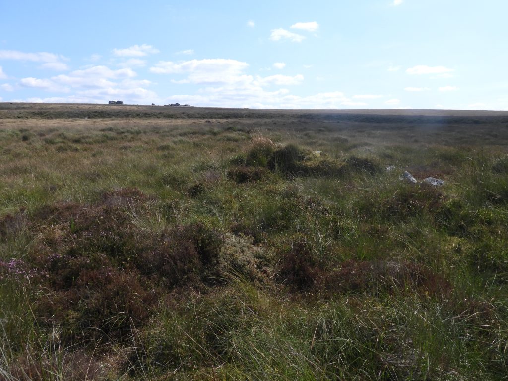 19c. Tinners Hut 3