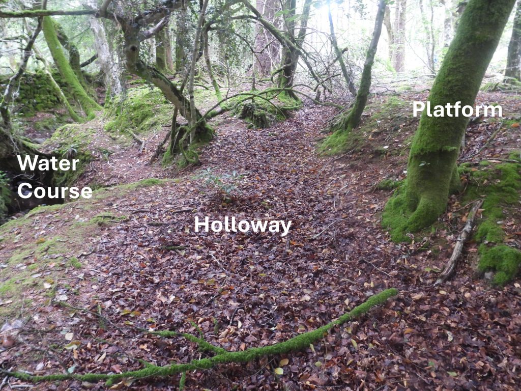 1a. Holloway and Platform