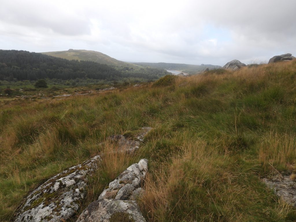 1c. Cairn and Cist 4