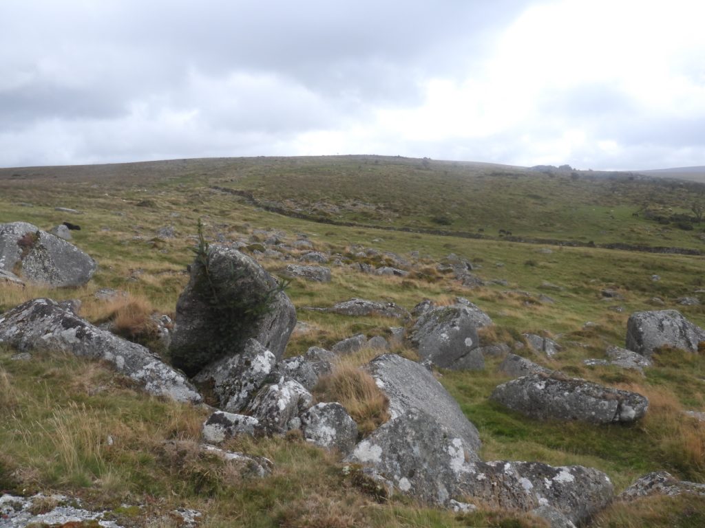 2. Christmas Tree