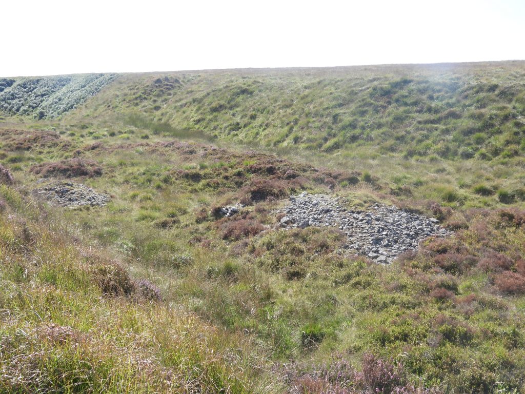 20b. Upper Bow Combe Streamworks