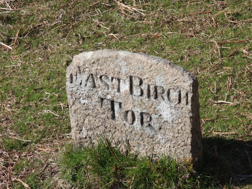 21b. EBTM3