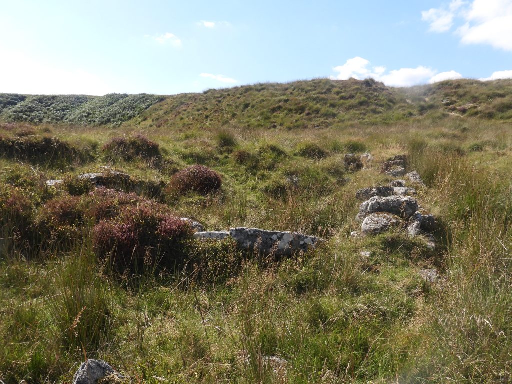 21b. Tinners Hut 4