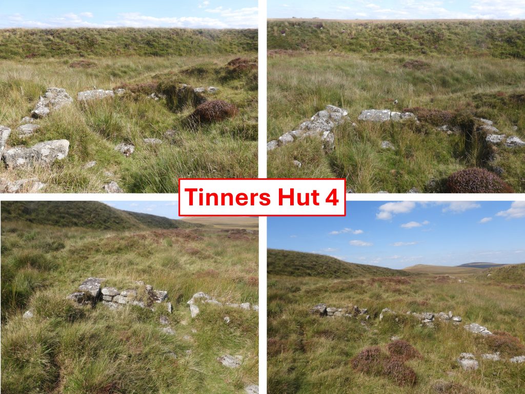 21c. Tinners Hut 4