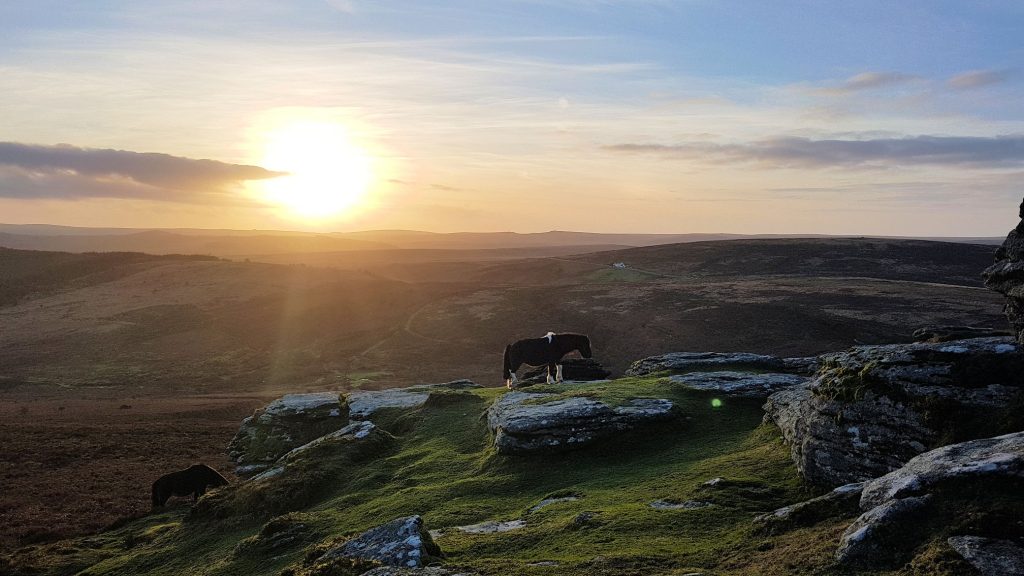 22z. Birch Tor 4