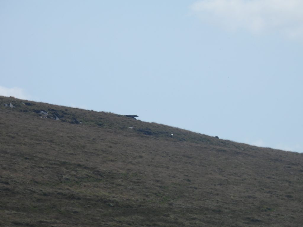23. The Hangingstone