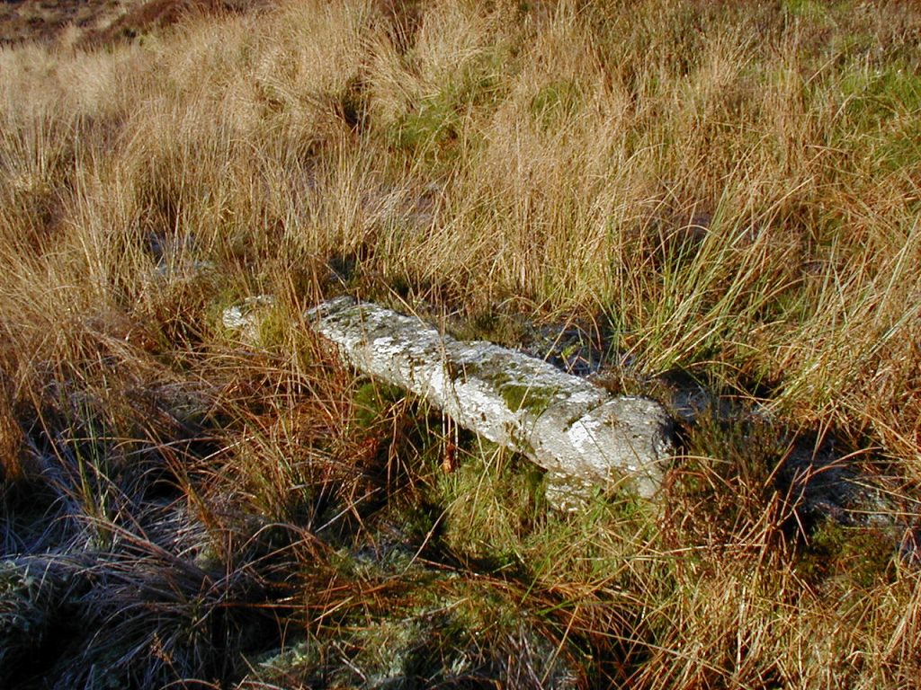24. VT5 b