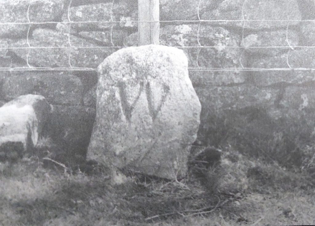 26. W Bound Stone
