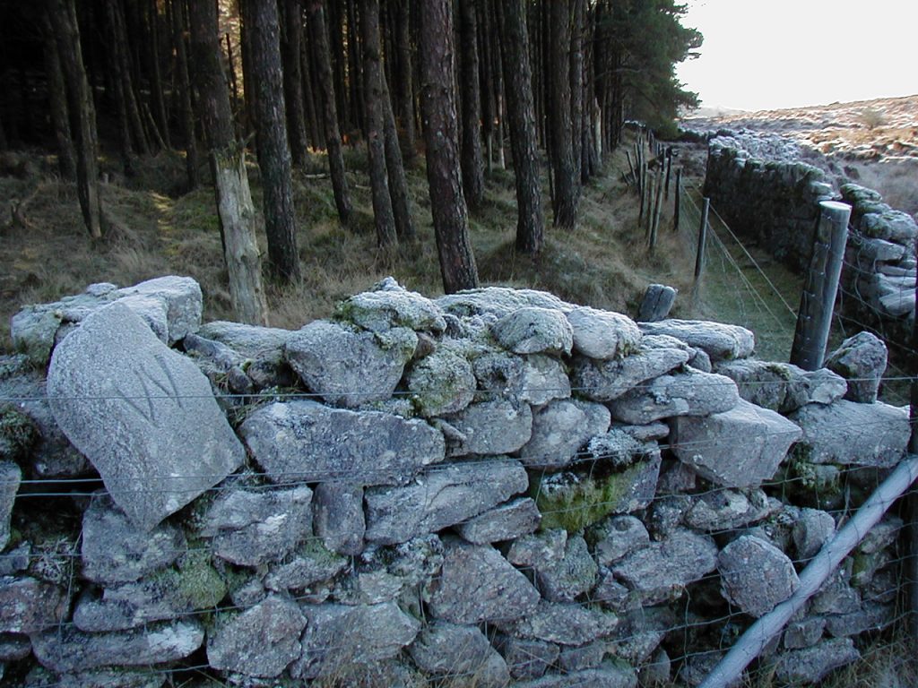 26b. W Bound Stone