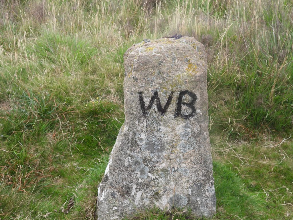 2e. WB