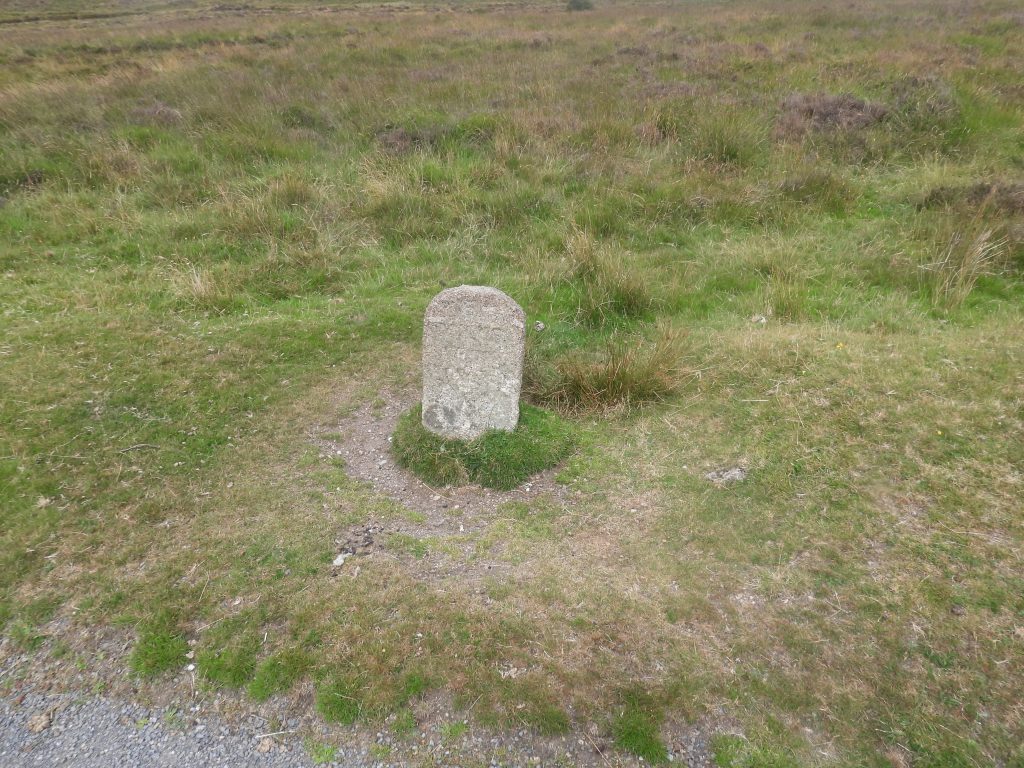 2z. Milestone 3