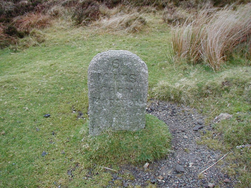 2z. Milestone 5