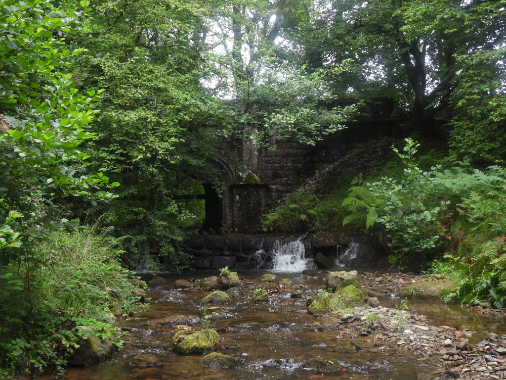 3. Bridge b