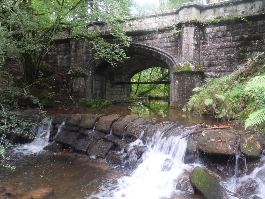 3. Bridge d