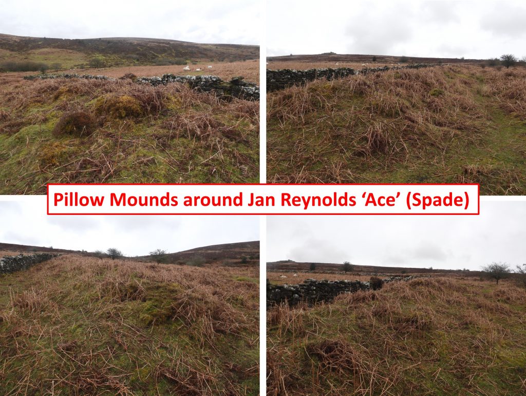 31b. Pillow Mounds