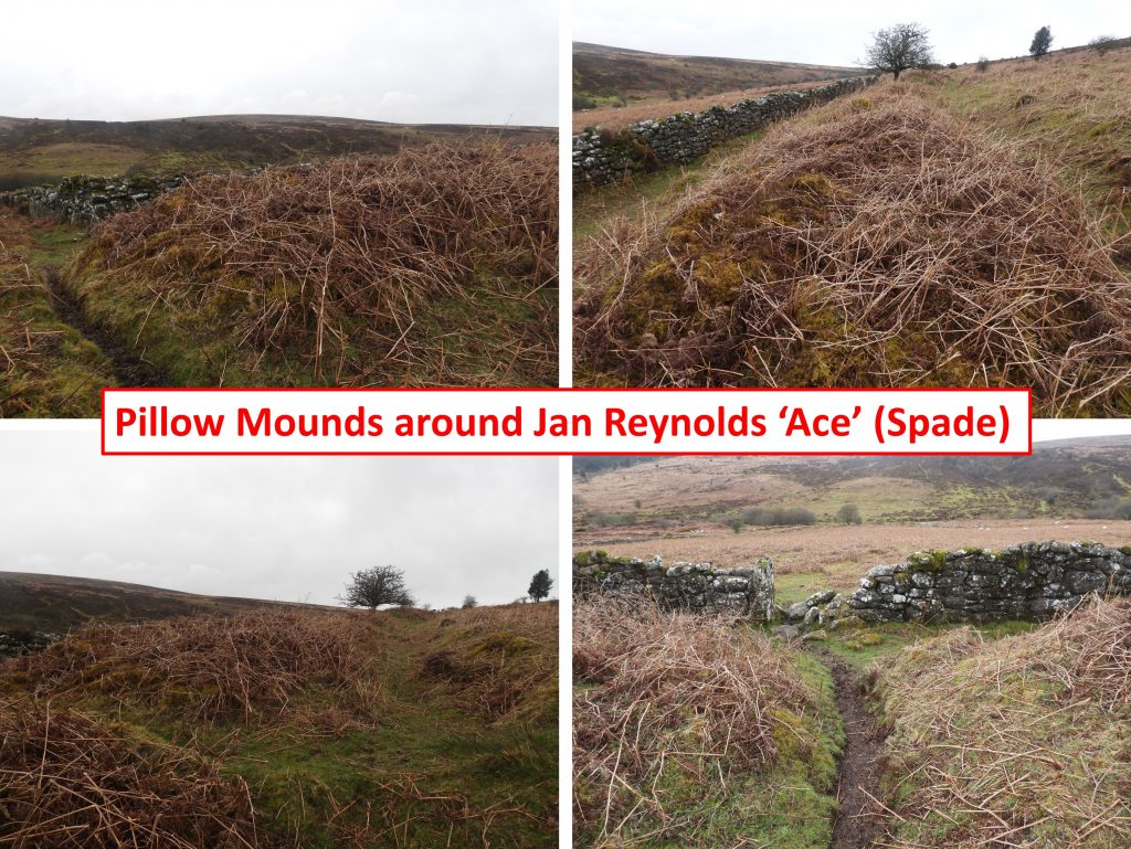 31c. Pillow Mounds