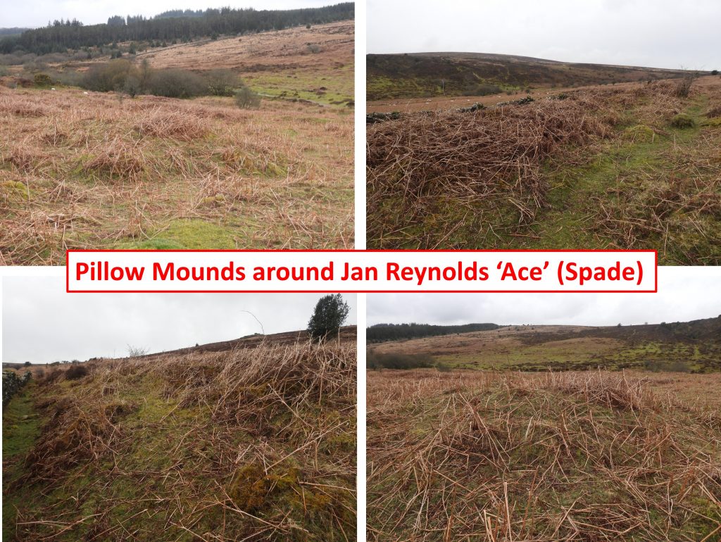 31d. Pillow Mounds