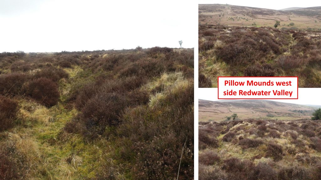 31e. Pillow Mounds