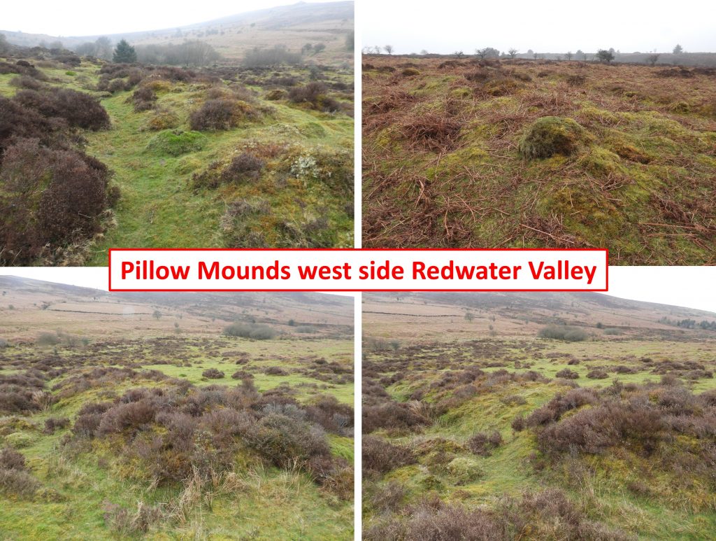 31f. Pillow Mounds