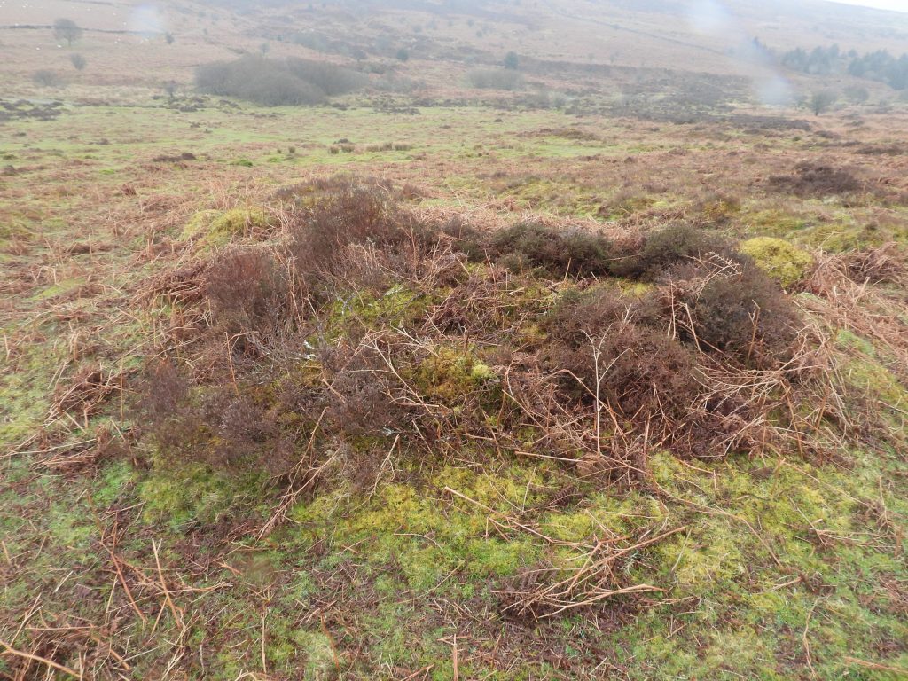 31g. Pillow Mound