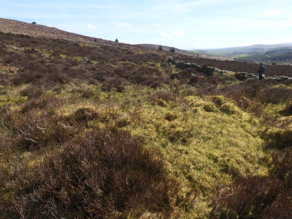 31i. Pillow Mound