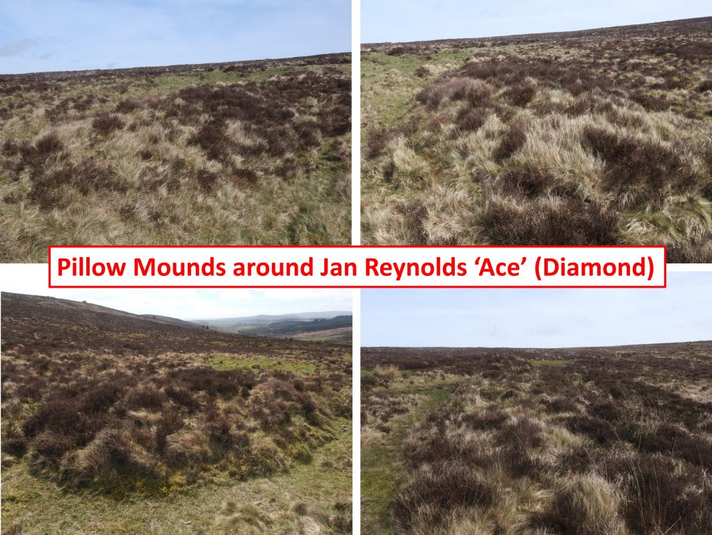 31j. Pillow Mounds