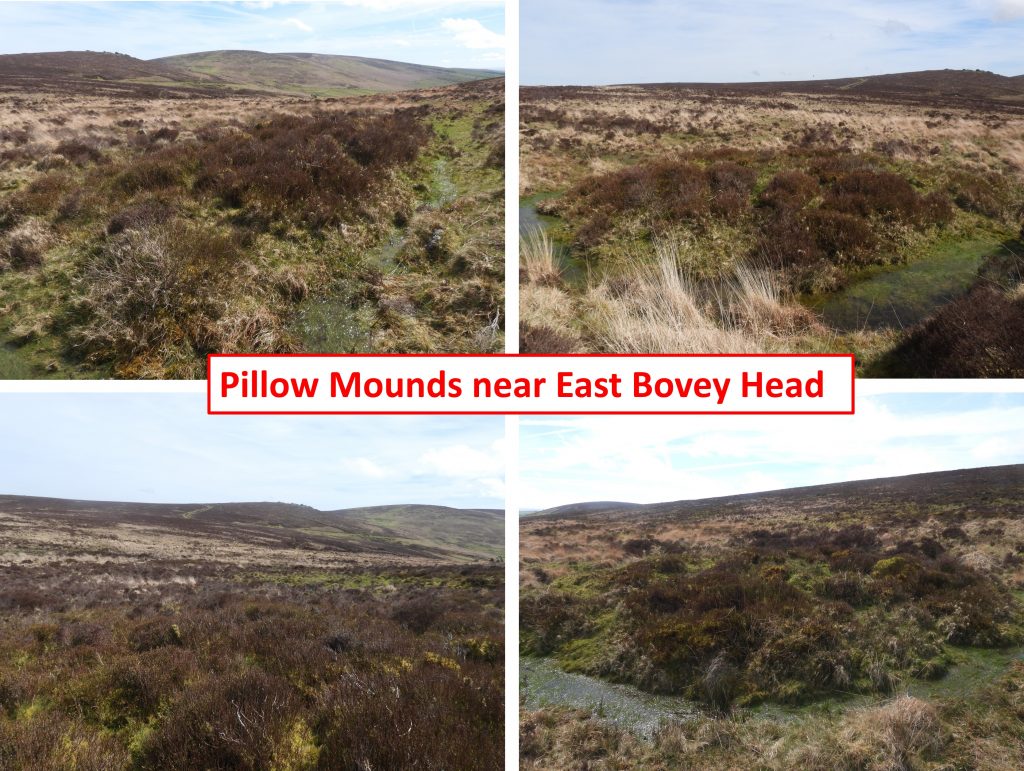 31m. Pillow Mound
