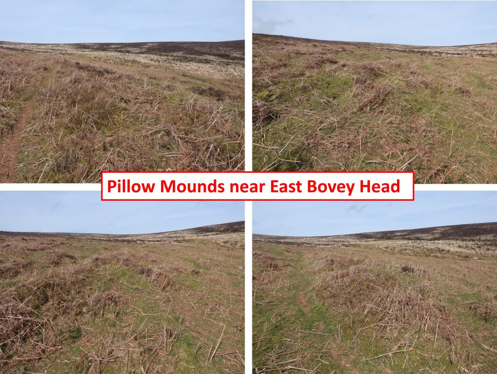 31n. Pillow Mound