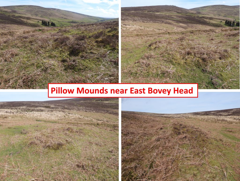 31o. Pillow Mound