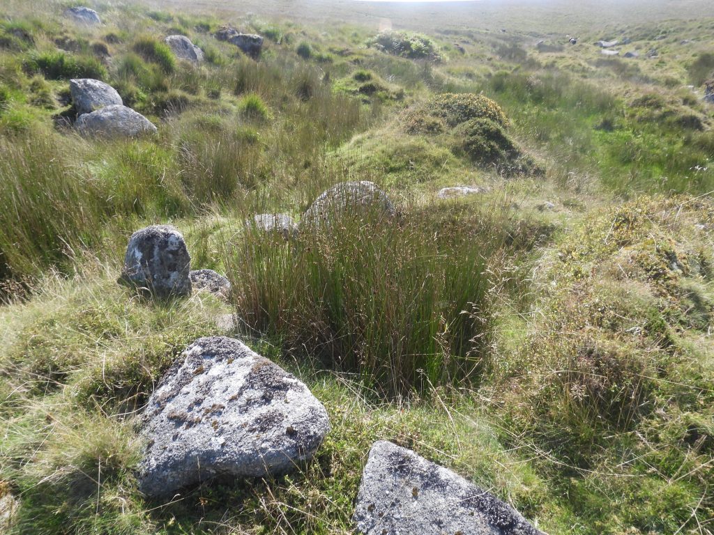 3a. Tinners Hut 1