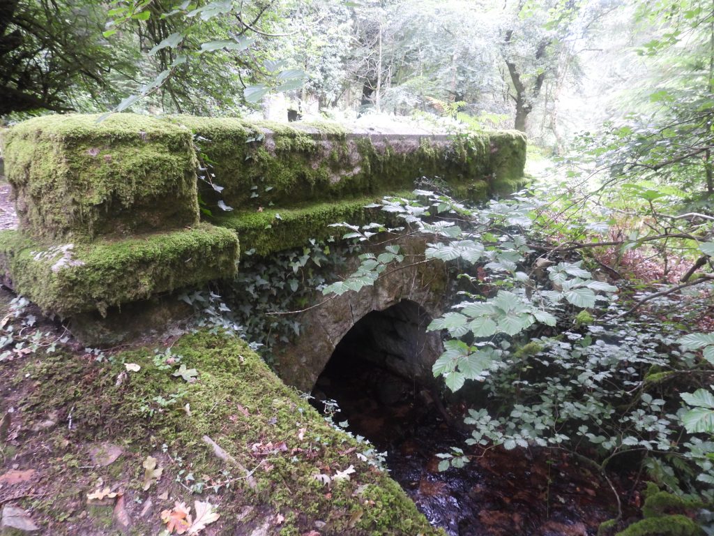 3b. Bridge