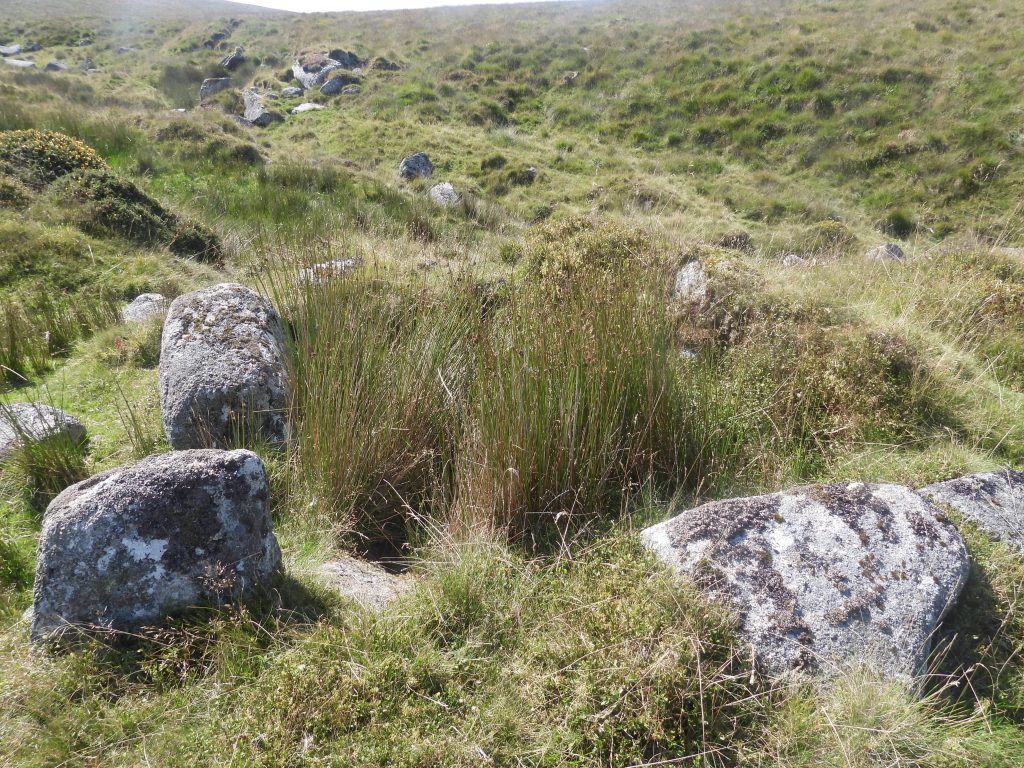 3b. Tinners Hut 1