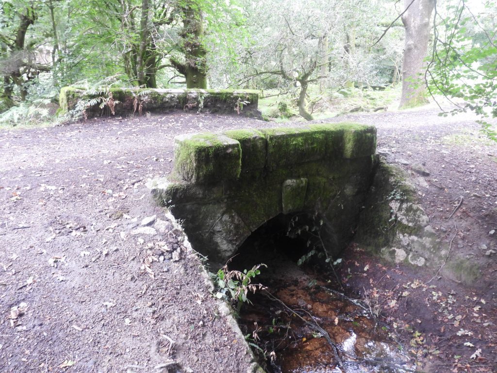 3c. Bridge