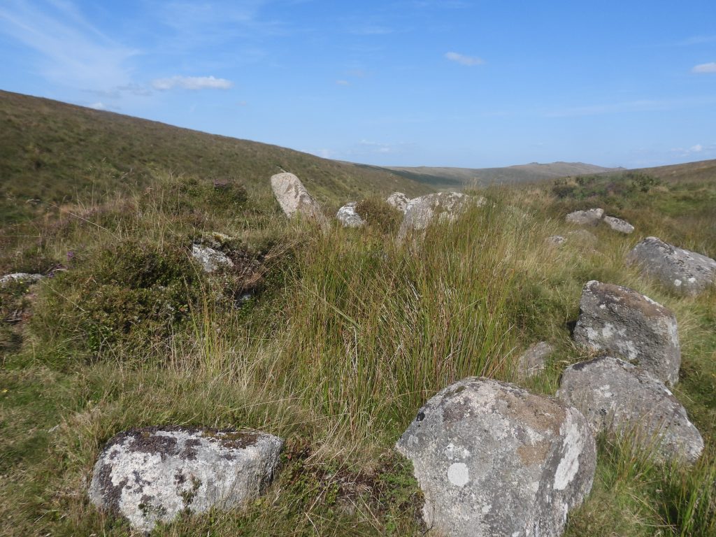 3d. Tinners Hut 1