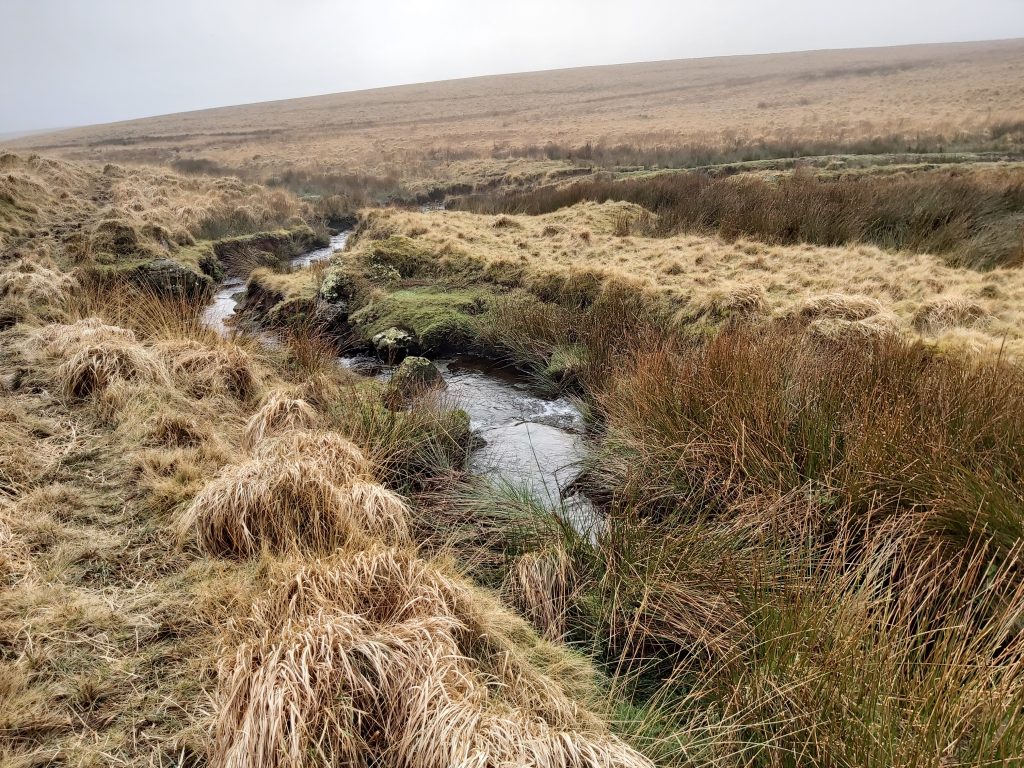 3p. Brim Brook