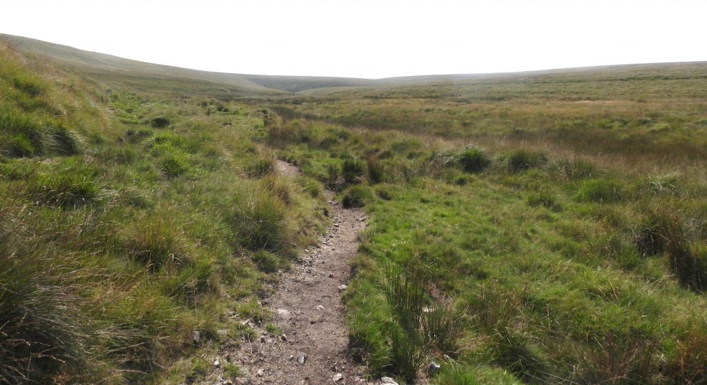 3t. Brim Brook