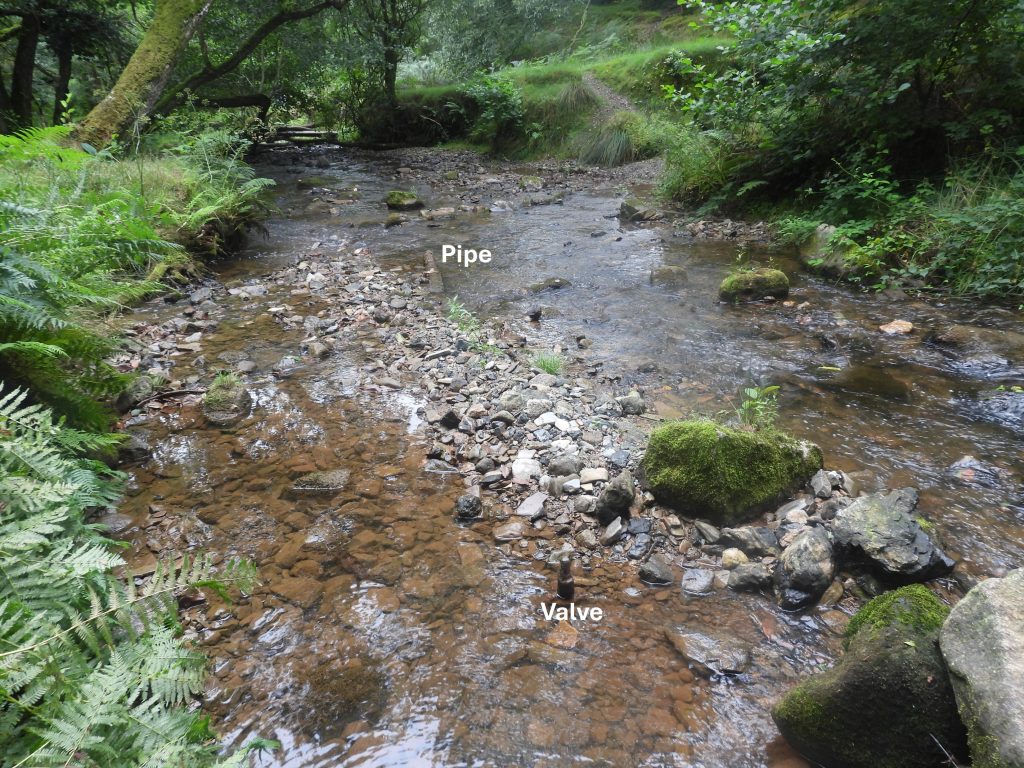4. River downstream