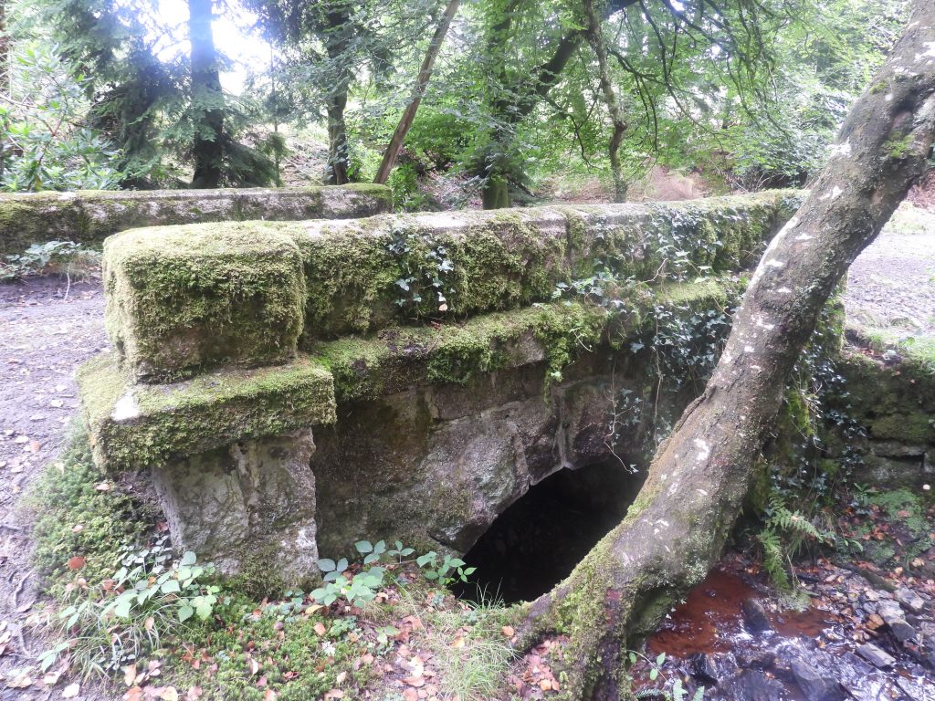 4a. Bridge