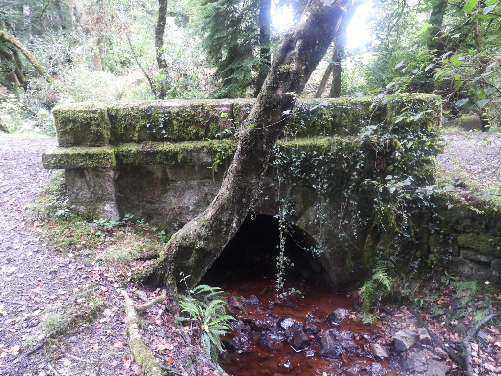 4b. Bridge