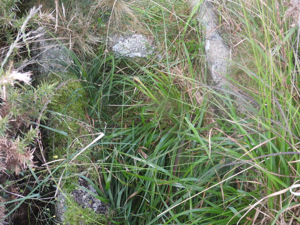 4b. Cairn and Cist 1