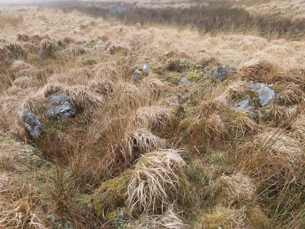 4b. Tinners Hut 4